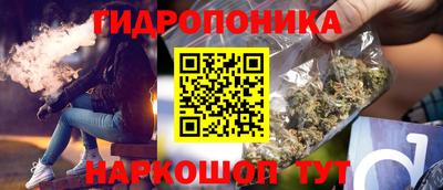 крисы Жуковский