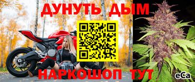 крисы Жуковский
