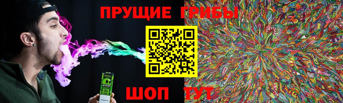 Галлюциногенные грибы Cubensis Полысаево